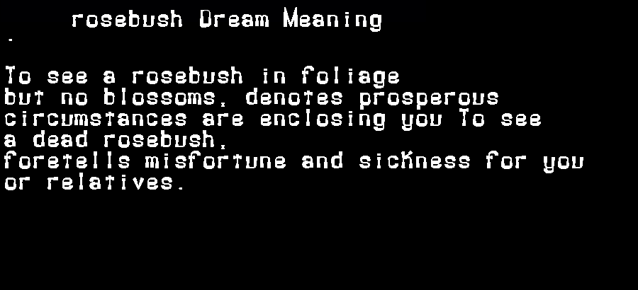  dream meanings rosebush